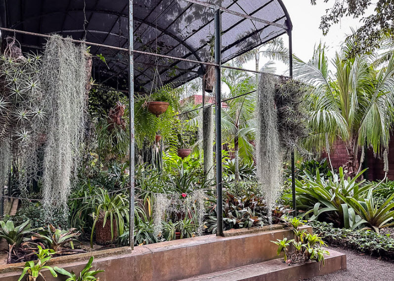 Botanical Garden, Spain